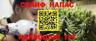 Альфа ПВП Будённовск