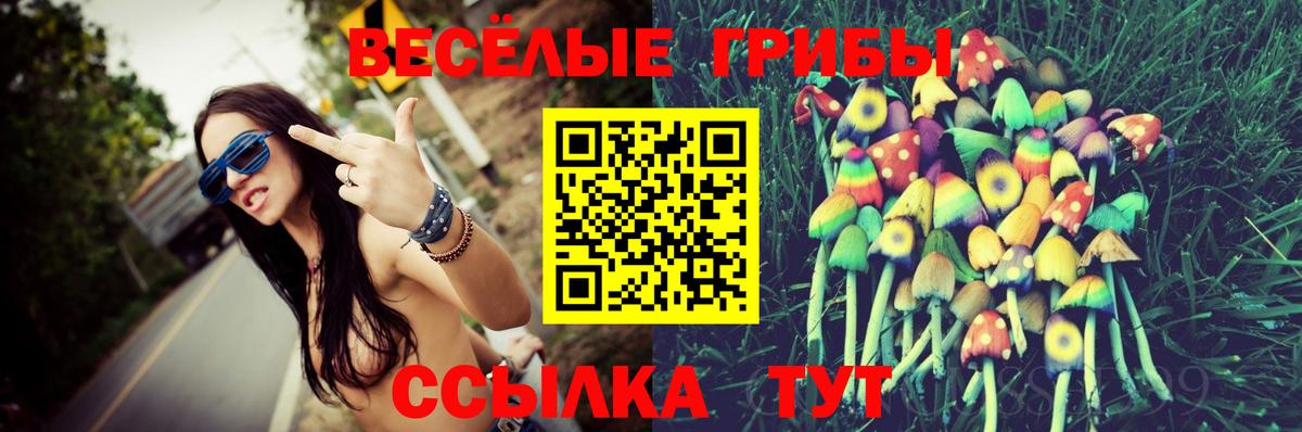 Галлюциногенные грибы Psilocybine cubensis Лосино-Петровский